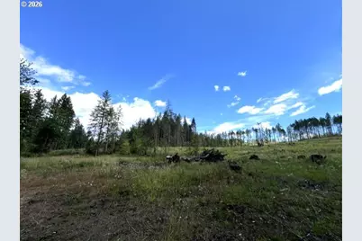 Fairdale Rd, Yamhill, OR 97148 - Photo 45
