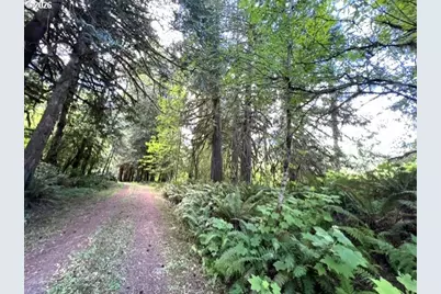 Fairdale Rd, Yamhill, OR 97148 - Photo 15