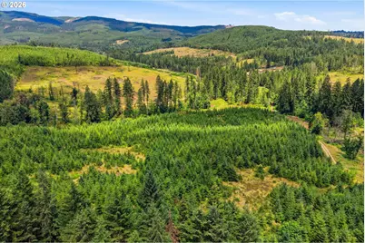 Fairdale Rd, Yamhill, OR 97148 - Photo 5