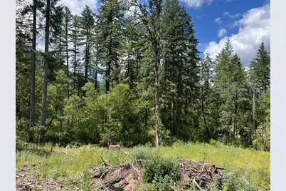 Fairdale Rd, Yamhill, OR 97148 - Photo 31