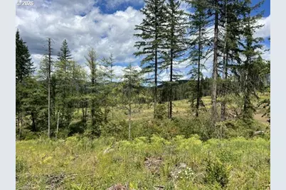 Fairdale Rd, Yamhill, OR 97148 - Photo 33