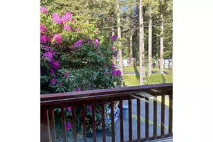19921 Whaleshead Rd, Brookings, OR 97415 - Photo 29