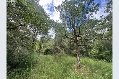 0 Spring Hill Rd., Gaston, OR 97119 - Photo 11