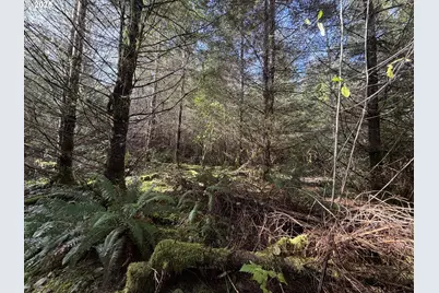 Necanicum Hwy, Seaside, OR 97138 - Photo 3