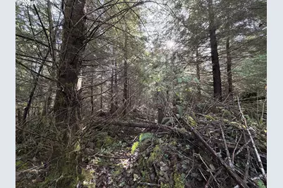 Necanicum Hwy, Seaside, OR 97138 - Photo 1