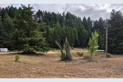 920 Buck Creek Rd, Drain, OR 97435 - Photo 21