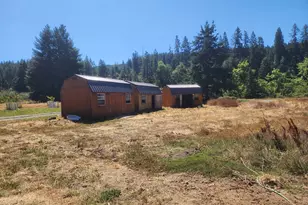 920 Buck Creek Rd, Drain, OR 97435 - Photo 11