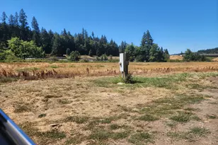 920 Buck Creek Rd, Drain, OR 97435 - Photo 3