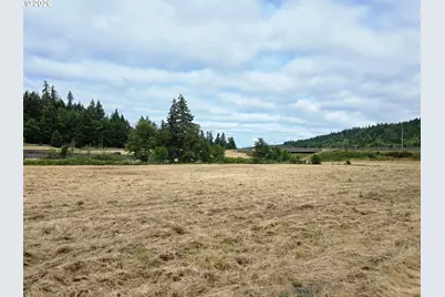 920 Buck Creek Rd, Drain, OR 97435 - Photo 9