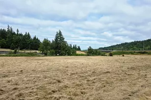 920 Buck Creek Rd, Drain, OR 97435 - Photo 9