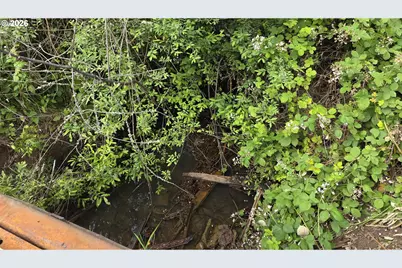 920 Buck Creek Rd, Drain, OR 97435 - Photo 19