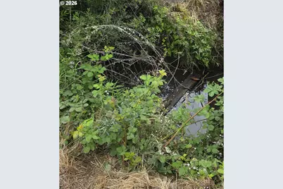 920 Buck Creek Rd, Drain, OR 97435 - Photo 17