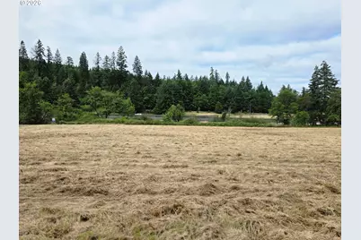 920 Buck Creek Rd, Drain, OR 97435 - Photo 9