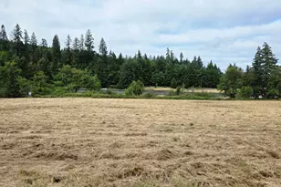 920 Buck Creek Rd, Drain, OR 97435 - Photo 9