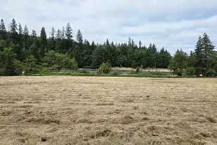 920 Buck Creek Rd, Drain, OR 97435 - Photo 5
