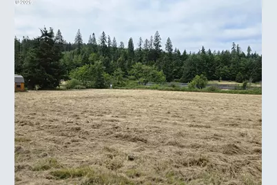 920 Buck Creek Rd, Drain, OR 97435 - Photo 5