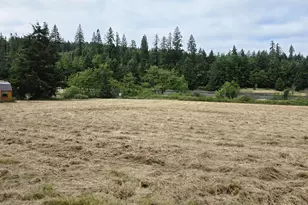920 Buck Creek Rd, Drain, OR 97435 - Photo 5