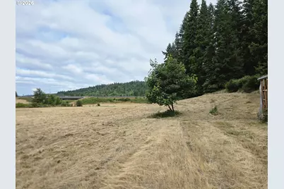 920 Buck Creek Rd, Drain, OR 97435 - Photo 3