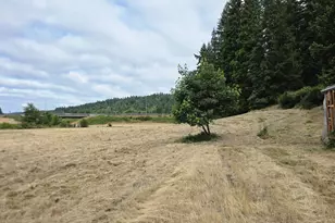 920 Buck Creek Rd, Drain, OR 97435 - Photo 3
