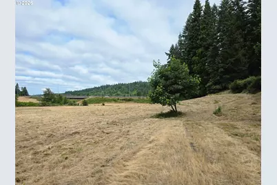 920 Buck Creek Rd, Drain, OR 97435 - Photo 7