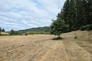 920 Buck Creek Rd, Drain, OR 97435 - Photo 7