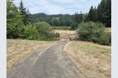 920 Buck Creek Rd, Drain, OR 97435 - Photo 15