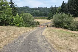 920 Buck Creek Rd, Drain, OR 97435 - Photo 15