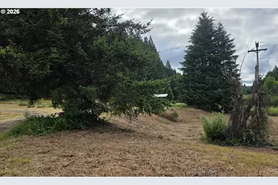 920 Buck Creek Rd, Drain, OR 97435 - Photo 19