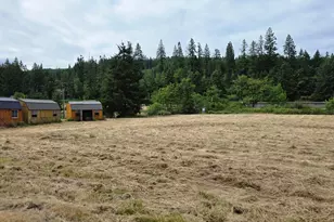 920 Buck Creek Rd, Drain, OR 97435 - Photo 11