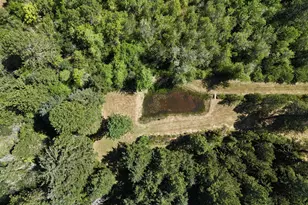 25454 Perkins Rd, Veneta, OR 97487 - Photo 29