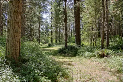 25454 Perkins Rd, Veneta, OR 97487 - Photo 25
