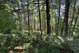 6100 Teal Creek Rd, Dallas, OR 97338 - Photo 41