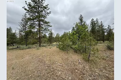 Old Mountain Rd., Goldendale, WA 98620 - Photo 9