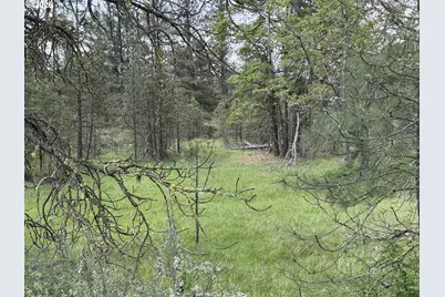 Old Mountain Rd., Goldendale, WA 98620 - Photo 21
