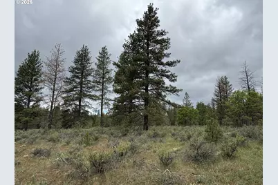 Old Mountain Rd., Goldendale, WA 98620 - Photo 27