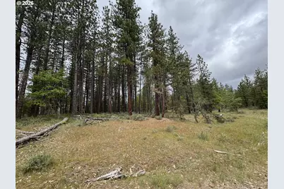 Old Mountain Rd., Goldendale, WA 98620 - Photo 19