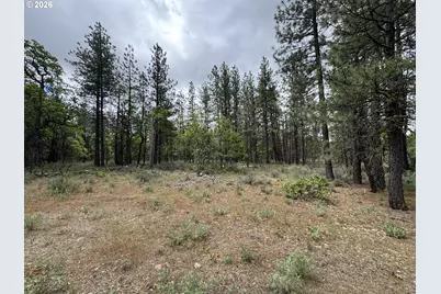 Old Mountain Rd., Goldendale, WA 98620 - Photo 13