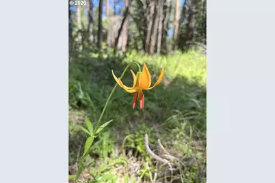 Old Mountain Rd., Goldendale, WA 98620 - Photo 5