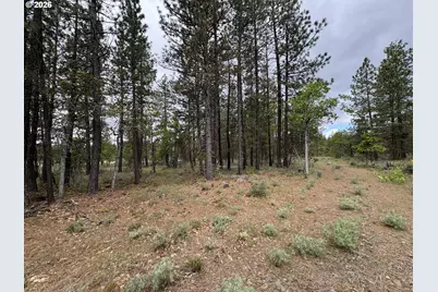 Old Mountain Rd., Goldendale, WA 98620 - Photo 11