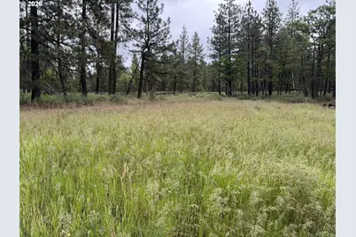 Old Mountain Rd., Goldendale, WA 98620 - Photo 35