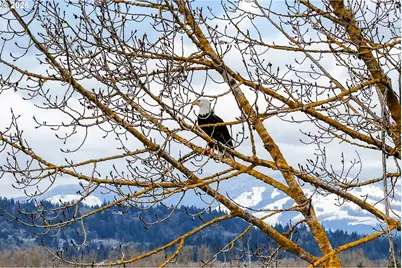 3862 NE 203rd Ave, Fairview, OR 97024 - Photo 39