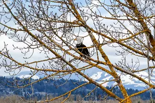 3862 NE 203rd Ave, Fairview, OR 97024 - Photo 3