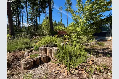 44989 McKenzie Hwy, Leaburg, OR 97489 - Photo 3