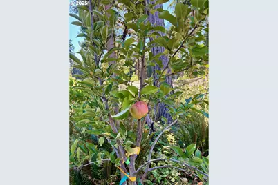 44989 McKenzie Hwy, Leaburg, OR 97489 - Photo 23