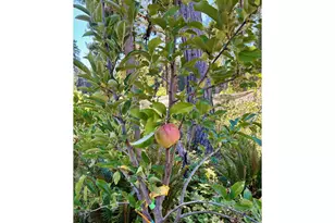 44989 McKenzie Hwy, Leaburg, OR 97489 - Photo 23