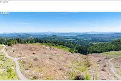 0 Snowberry Rd, Roseburg, OR 97471 - Photo 9