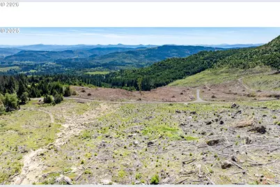 0 Snowberry Rd, Roseburg, OR 97471 - Photo 11