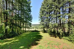 14041 NW Mason Hill Rd, North Plains, OR 97133 - Photo 15