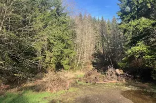 Wolden Rd, Rainier, OR 97048 - Photo 1