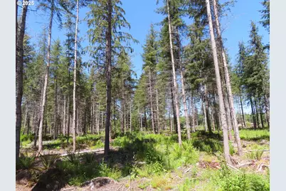 1515 Kirkpatrick Rd, Hoquiam, WA 98550 - Photo 29